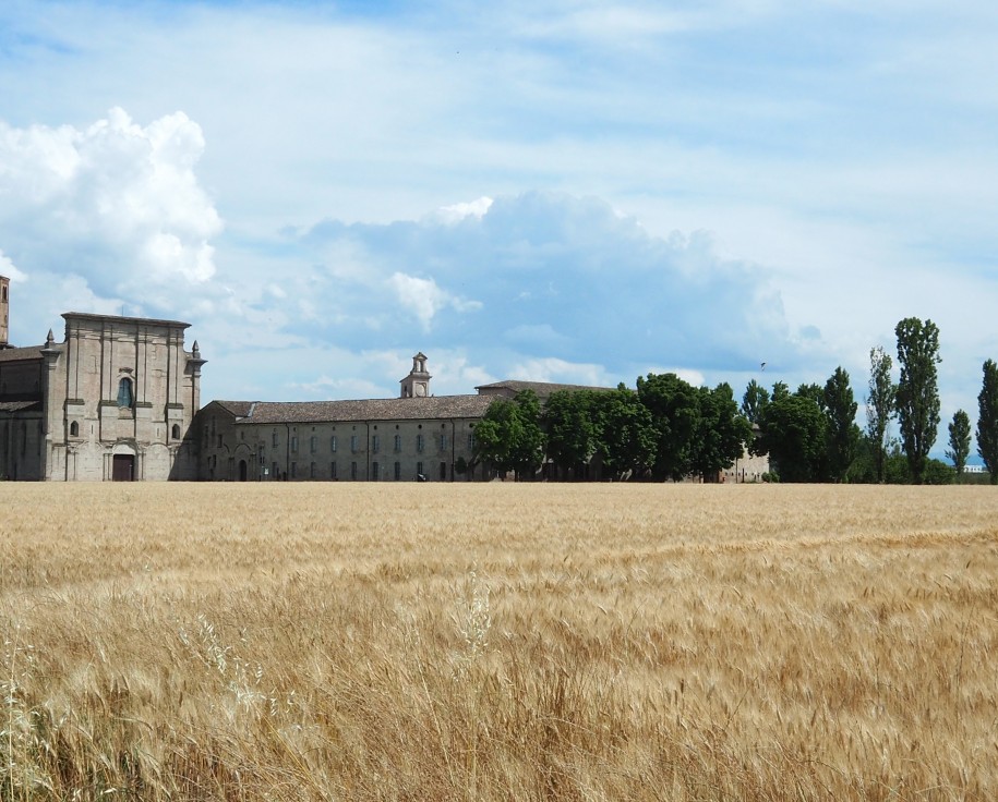 Vista dell'abbazia da lontano, con viale alberato e campo